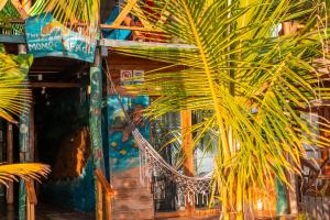 the mompe beach hostal