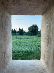 Maisons de vacances Le Mas de Plantery : photos des chambres