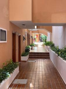 Ocean View Excellent Quiet Place