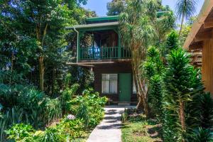 Rustic Treehouse Monteverde
