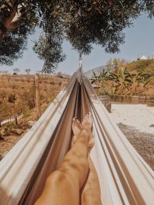 Glamping Finca el Olivo