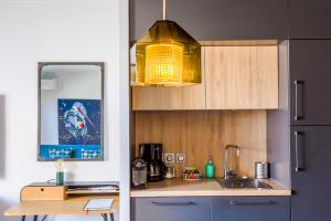 Appartements Lyon Premium - 7e Ciel Rooftop Panoramique : photos des chambres