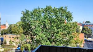 Apartament Moniuszki Centrum