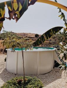 Glamping Finca el Olivo