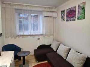 Kauno apartamentai 1 bed room