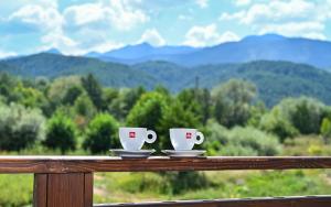 Къща Александра 2