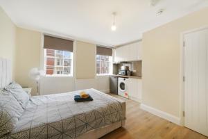 Central London W1 Studio Zone 1
