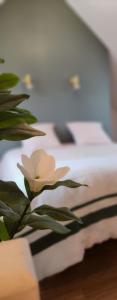 Appartements Les Hortensias Roses Duplex : photos des chambres