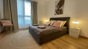 BW Aurora Beograd na vodi