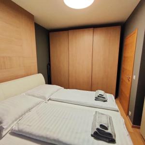 SAG Panorama city free parking