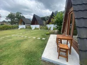 The Blongaya Kintamani Lake View - 提安亚尔