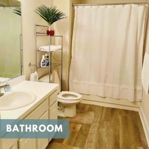 Amazing Beautiful Downtown Apt