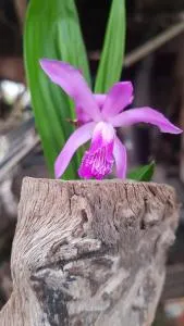 17-Solar Chaja - Chajarí