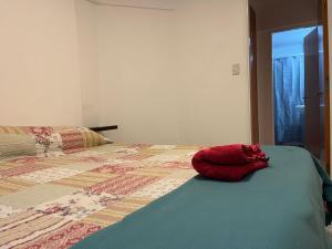 Pleno Nueva Córdoba, zona Sanatorio Allende