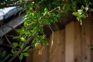 アイショウ 一日ひと組の宿