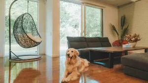 Imitelis Biotop - Vacation STAY 43055v - Katori