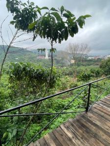 HOMESTAY ĐỐM HOUSE