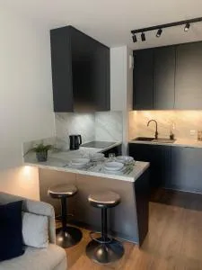 DeLux Apartament on Targowa in the center of Łódź - Koluszki