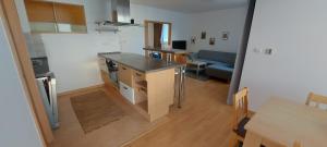 Apartmán Lodenica s terasou