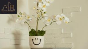 Appartements Studio 4pers - CHIC - Marignier : photos des chambres