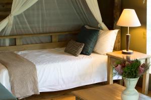 Honeyguide Ranger Camp