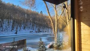 Glamping U žabky