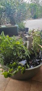 Almost Off Grid Tranquillity