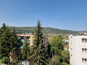 Urban Cozy Apartments