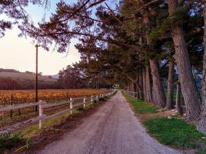 Hermanuspietersfontein Cottages
