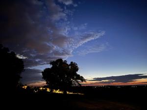 Appartements Vineyard Cabins at Chateau Puynard : photos des chambres