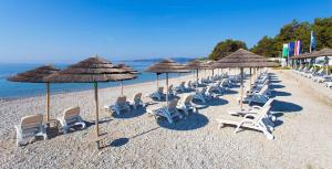 Villa with pool, olive garden and sea view by TRAVELER tourist agency Krk - ID 2147