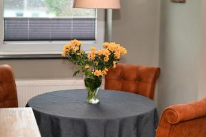Wohnung Austernfischer