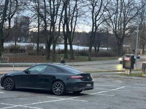 Schlossteich Number one