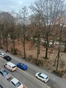 Schlossteich Number one