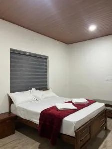 Mountain View room Paithalvillage - Paithalmala