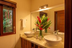 Three Monkeys - Central Cahuita - Tropical Comfort