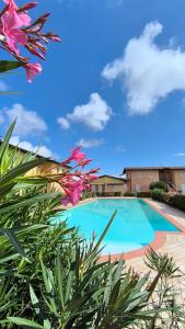 Apartment Dragonfly - garden and pool