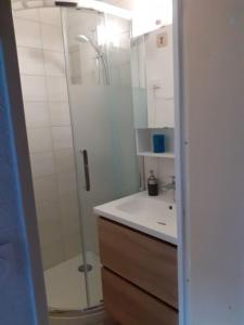 Appartements Castor - Studio hyper center - Ski : photos des chambres