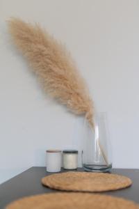 Przestronny apartament 4-pokojowy blisko lotniska