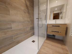 Appart skis aux pieds, proche commodités et remontées - FR-1-356-196