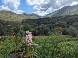 Au coeur du maquis Sartenais - Foce