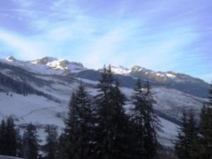 Appartements Studio cosy a 80m des remontees et 100m des commerces a Valmorel - FR-1-356-198 : photos des chambres