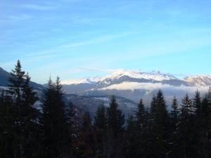 Studio cosy à 80m des remontées et 100m des commerces à Valmorel - FR-1-356-198