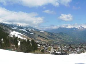 Valmorel : Appart 2 pièces au pied des pistes, animaux admis - FR-1-356-285