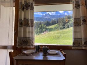 Studio cosy près des pistes à Valmorel, animaux admis - FR-1-356-349