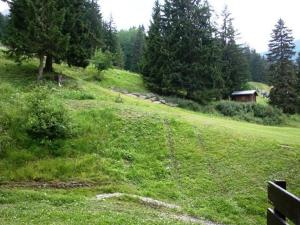 Appartements Charmant 2P a Valmorel, balcon, proche pistes, animaux ok - FR-1-356-339 : photos des chambres