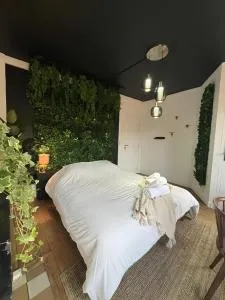 L'Oasis Confort, Centre-Ville - Sainte-Catherine-lèz-Arras