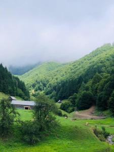 Cabana Țibleș Bichigiu