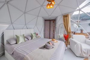 ชิวชิวแคมป์ ภูชี้ฟ้า