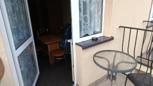 Delfin -przy plaży, widok na morze